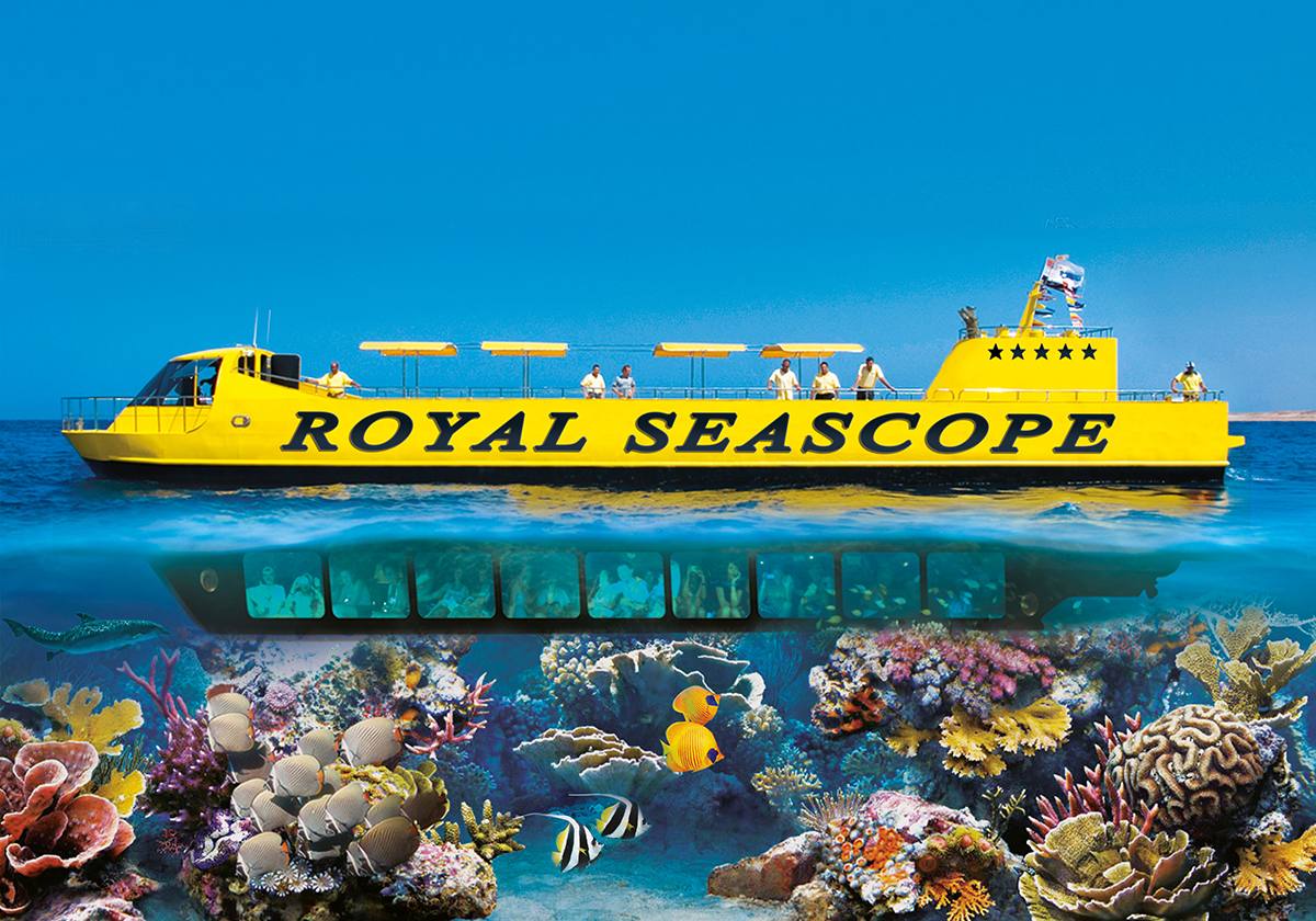 Submarine Tour & Coral Reef Exploration