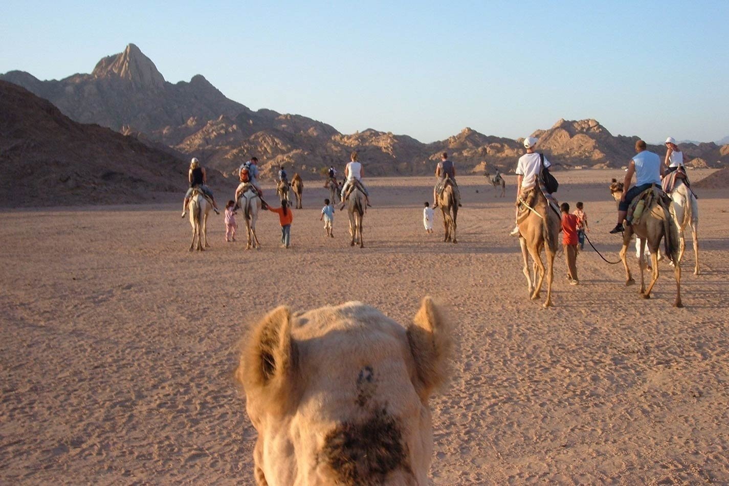 Camel Ride & Bedouin Dinner